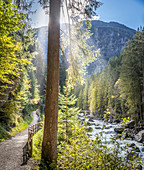 Wanderweg an der Ötztaler Ache im Ötztal, Oetz, Tirol, Österreich