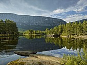 Am Fluss Otra, Homfjellet, Setesdal, Agder,  Norwegen