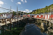 Nusfjord, Flakstadoya, Lofoten, Nordland, Norwegen