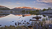 Addjektind, Örfjellet, Saltfjellet-Svartisen Nationalpark, Nordland, Norwegen