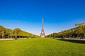 Frankreich, Paris, Gebiet, das von der UNESCO, den Champs de Mars und dem Eiffelturm zum Weltkulturerbe erklärt wurde