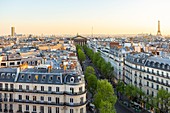 Frankreich, Paris, Gesamtansicht mit Rue Tronchet, Madeleine und Eiffelturm