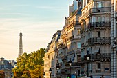Frankreich, Paris, Haussmann-Gebäude im 7. Arrondissement und der Eiffelturm