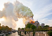 France, Paris, area listed as World Heritage by UNESCO, Notre Dame de Paris Cathedral, fire which ravaged the cathedral on April 15,