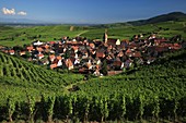 France, Haut Rhin, Route des Vins d'Alsace, Niedermoschwihr, general view of the vineyards and the village