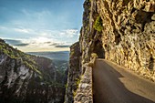 France, Isere, Massif du Vercors, Regional Natural Park, the breathtaking road of the Nan Gorges at sunset