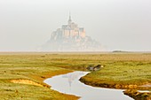 Frankreich, Manche, Mont-Saint-Michel-Bucht, die von der UNESCO zum Weltkulturerbe erklärt wurde, Mont-Saint-Michel bei Flut aus den gesalzenen Feldern