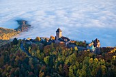 France, Bas Rhin, Orschwiller, Alsace Wine road, Haut Koenigsbourg Castle (aerial view)