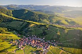 France, Haut Rhin, Alsace Wine Route, Katzenthal, Saint Nicolas church, Wineck castle, vineyard (aerial view)