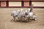 France, Vendee, Les Epesses, Le Puy du Fou historical theme park, the Sign of Triumph, Reconstitution of chariot races on horseback