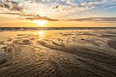 Frankreich, Somme, Ault, die Wassermäander am Strand von Ault bei Ebbe bei Sonnenuntergang