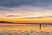 Frankreich, Somme, Ault, Sonnenuntergang auf den Klippen vom Strand von Ault, Wanderer und Fotografen kommen, um die Landschaft und die Seevögel zu bewundern, ein Fischer kehrt mit seiner Ernte von Blutwürmern zurück