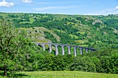 France, Cantal, Regional Natural Park of the Auvergne Volcanoes, monts du Cantal (Cantal mounts), vallee de Cheylade (Cheylade valley), Riom es Montagne, viaduct of Barajol