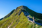 France, Cantal, Regional Natural Park of the Auvergne Volcanoes, monts du Cantal, Cantal mounts, hiker at puy Mary