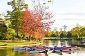 France, Paris, the Bois de Vincennes, the lake Daumesnil in autumn