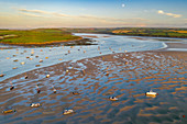 Low tide on the Camel Estuary in summer, Rock, Cornwall, England, United Kingdom, Europe