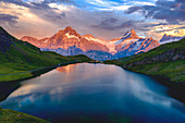 Wetterhorn, Schreckhorn und Finsteraarhorn bei Sonnenuntergang vom Bachalpsee, Grindelwald, Berner Oberland, Schweiz, Europa