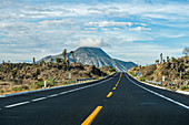 Straße, die zum Vulkan El Pizarro, Puebla, Mexiko, Nordamerika führt