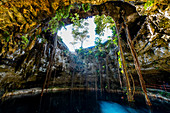 Cenote Oxmal, Valladolid, Yucatan, Mexiko, Nordamerika