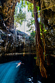 Cenote Oxmal, Valladolid, Yucatan, Mexico, North America