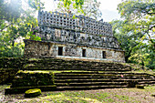 Archäologische Maya-Stätte von Yaxchilan im Dschungel von Chiapas, Mexiko, Nordamerika