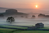 Felder und Scheune bei Sonnenaufgang, Blick nach Nordosten von Hawes, Yorkshire Dales National Park, Yorkshire, England, Vereinigtes Königreich, Europa