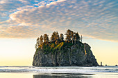 Seestapel im Morgengrauen am zweiten Strand, La Push, Grafschaft Clallam, Bundesstaat Washington, Vereinigte Staaten von Amerika, Nordamerika
