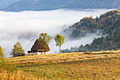 Ländliche Landschaft in Apuseni Bergen, Rumänien, Europa
