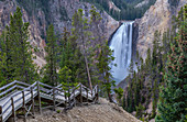 Treppe führt zu den unteren Wasserfällen des Grand Canyon, Yellowstone-Nationalpark, UNESCO-Weltkulturerbe, Wyoming, Vereinigte Staaten von Amerika, Nordamerika