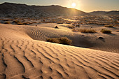 Sand dunes at sunset in the Rub al Khali desert, Oman, Middle East