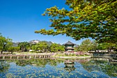 South Korea, Seoul, Jongno-gu district, Gyeongbokgung Palace or Gyeongbok Palace, Hyangwonjeong pavillon 