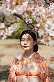 Schöne ruhige junge Frau im Kimono unter Kirschblütenbaum