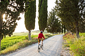 Cyclist on a tree lined dirt road at sunset, Tuscany