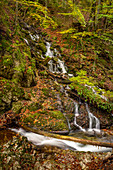 Herbst im Josefstal, Schliersee, Oberbayern, Bayern, Deutschland