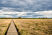 Footbridge in the Dühnen behind the dike at Cappel-Neufeld in the evening light, Cappel, Lower Saxony, Germany