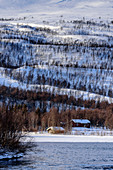 Landschaft an der Huskyfarm von Björn Klauer, Bardufoss, Norwegen