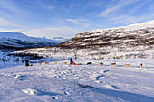 Dog sledding tour near Indset, Björn Klauer's husky farm, Bardufoss, Norway