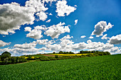 Cumulus clouds over summer fields in Burgbrohl, Rhineland-Palatinate, Germany