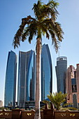 Palm tree in front of the Emirates Palace Hotel with skyscrapers behind it nAbu Dhabi, Abu Dhabi, United Arab Emirates, Middle East