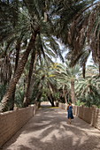Junge Frau läuft entlang einem von Dattelpalmen gesäumten Weg in der Oase Al Ain, Al Ain, Abu Dhabi, Vereinigte Arabische Emirate, Naher Osten