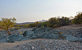 Angola; im westlichen Teil der Provinz Cunene; ausgetrocknetes Flussbett; für den Süden Angolas typische Grassavanne mit Akazienbäumen und kleinen Sandsteinfelsblöcken