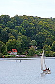 Stand-Up-Paddler vor der Ostküste des Starnberger See bei Assenhausen, 5-Seen-Land, Oberbayern, Bayern, Deutschland