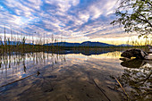 View over the water to the mountains at sunset at the moor areas at the Staffelsee, Murnau, Upper Bavaria, Germany