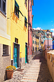The picturesque village of Bogliasco, Bogliasco, Liguria, Italy, Europe