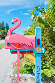 Holzbriefkasten mit Pink Flamingo Motiv, Fort Myers, Florida, USA