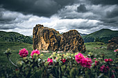 Red rocks at the red castle with alpine roses in the foreground, Nockberge Biosphere Park, Carinthia, Austria, Europe.