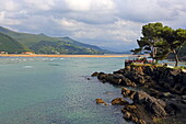 Sandbanks on the Ria de Urdaibai, also called Ria Guernika or Ria Mundaka, Mundaka, Urdaibai Biosphere Reserve, Basque Country, Spain