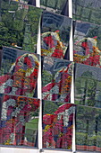 Reflections of the flower puppy in facades in front of the Guggenheim Museum, Bilbao, Basque Country, Spain