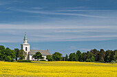 Rapsfeld mit Wald und alter Kirche an einem herrlichen Sommertag, Västra Götaland, Schweden