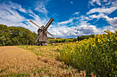 Windmühle Ballstädt bei Gotha, Thüringen, Deutschland